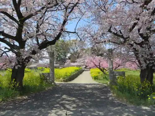 慈眼寺の自然