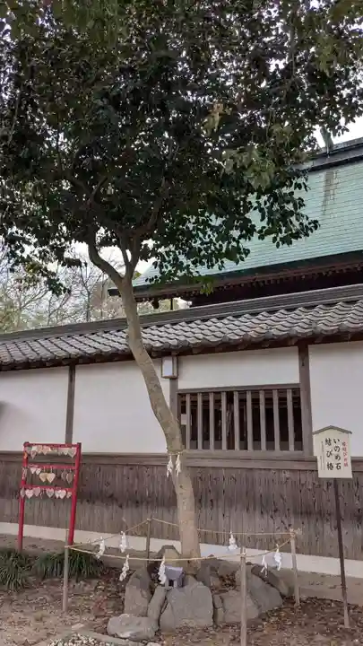 高忍日賣神社の自然