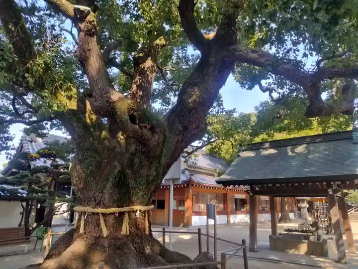大聖観音寺(あびこ観音)(大阪府)