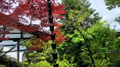 霊源院(京都府)