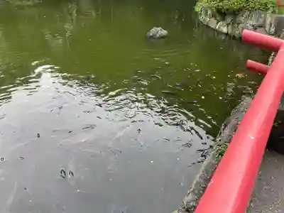 三嶋大社(静岡県)