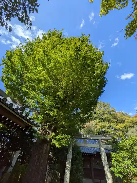 高円寺(東京都)