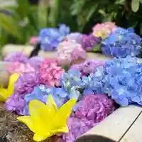 早稲田神社の手水舎