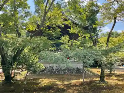 鹿苑寺(金閣寺)(京都府)