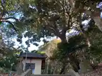 浅間神社のその他建物