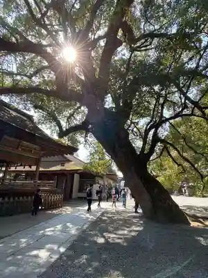 金刀比羅宮(香川県)