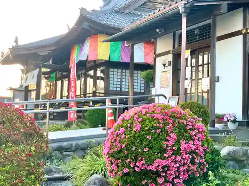 埼玉厄除け開運大師・龍泉寺（切り絵御朱印発祥の寺）の庭園