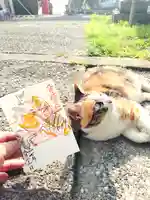 吾平津神社の御朱印