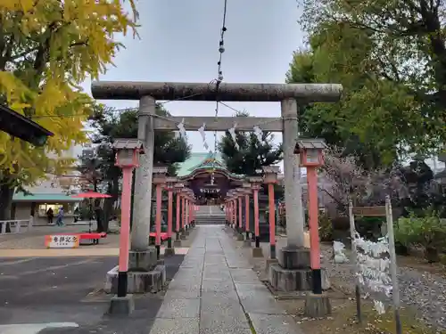 千住神社の鳥居
