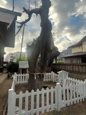 結城神明神社(千葉県)