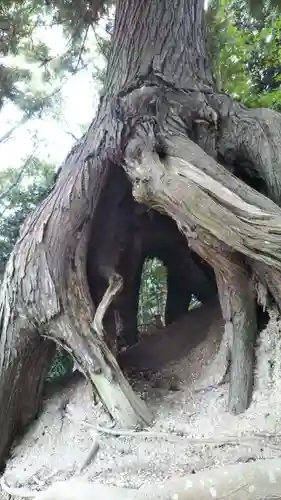 総願寺の自然