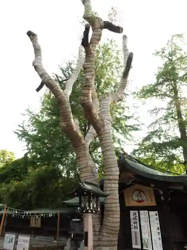 大宮八幡宮の自然