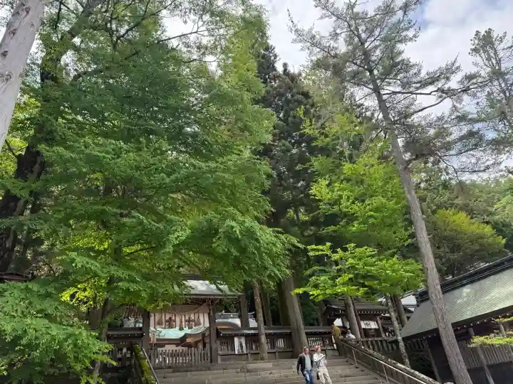 諏訪大社(長野県)