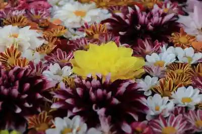 大鏑神社の手水舎