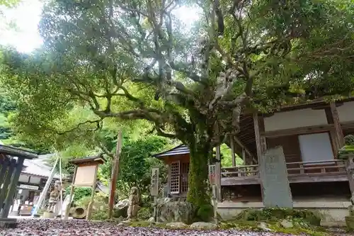 如意輪寺のその他建物