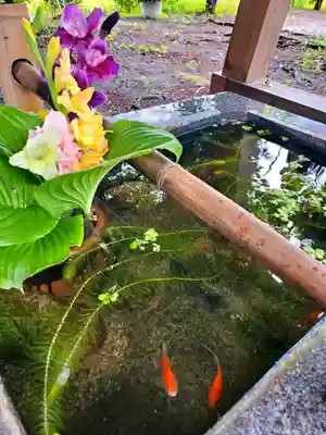 高司神社〜むすびの神の鎮まる社〜(福島県)