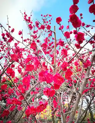 十日恵比須神社(福岡県)