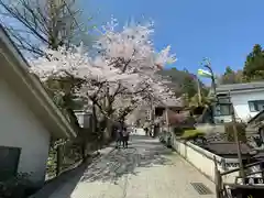 妙義神社(群馬県)