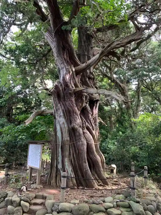 大瀬神社(静岡県)