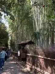 野宮神社の自然