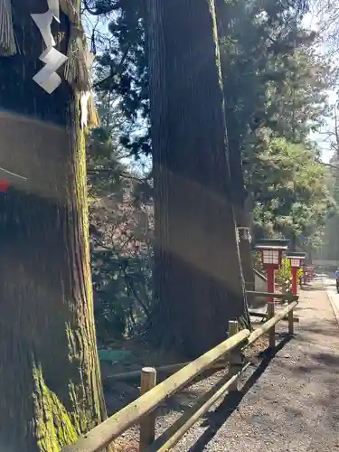 高尾山薬王院のその他建物