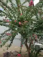 鎮宅霊符神社(奈良県)