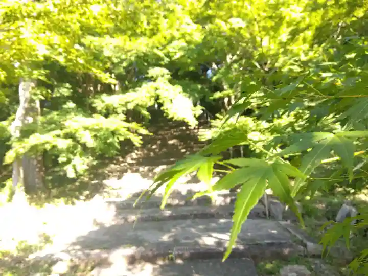 安国寺(京都府)