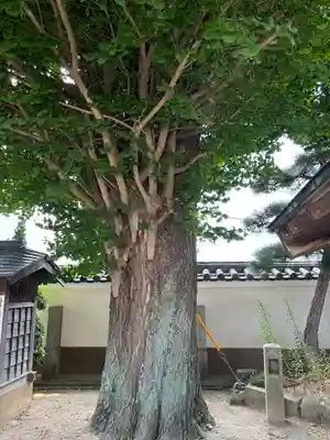 石雲寺(福島県)