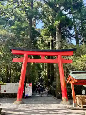 箱根神社(神奈川県)