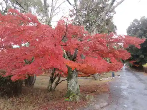 園城寺（三井寺）(滋賀県)