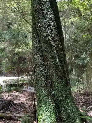 旧妙見宮奥之院（巌屋神社）(愛知県)