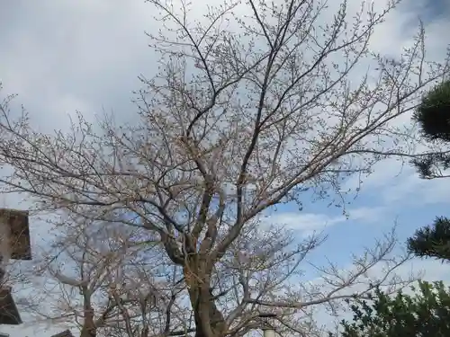 東漸寺(神奈川県)