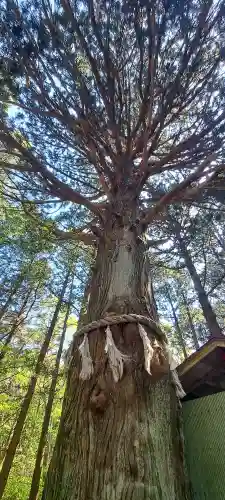 竹駒神社の{uncategorized: "未分類", other: "その他", undefined: "問題あり", building: "その他建物", grave: "お墓", sacred_gate: "鳥居", guardian: "狛犬", statue: "像", buddha: "仏像", history: "歴史", nature: "自然", garden: "庭園", animal: "動物", pagoda: "塔", temizu: "手水舎", mountain_gate: "山門・神門", sanctuary: "本殿・本堂", subordinate: "末社・摂社", art: "芸術", scenery: "景色", jizo: "地蔵", ema: "絵馬", goshuin: "御朱印", omikuji: "おみくじ", items: "授与品その他", amulet: "お守り", goshuincho: "御朱印帳", eats: "食事", festival: "お祭り", votive_dance: "神楽", shichigosan: "七五三参", wedding: "結婚式", experience: "体験その他", initially: "初詣", around: "周辺", anti_infection: "感染症対策"}
