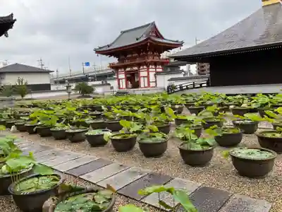 喜光寺のその他建物