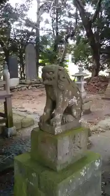 起松神社の狛犬