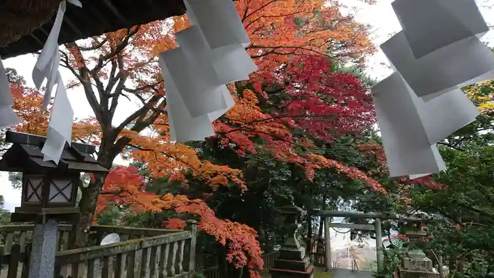 唐澤山神社のその他建物