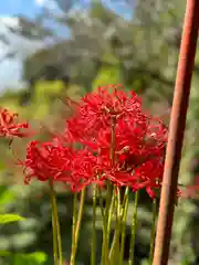 宝厳寺(滋賀県)