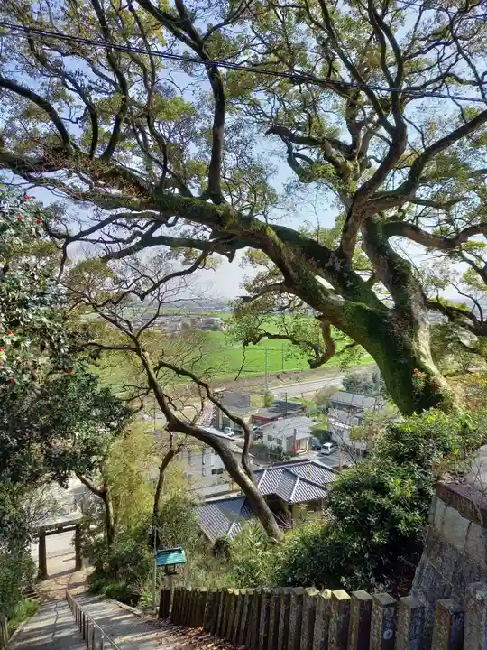 千栗八幡宮の自然