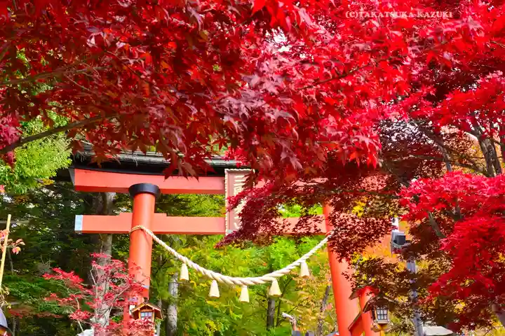 新倉富士浅間神社(山梨県)