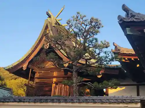 湯神社(愛媛県)