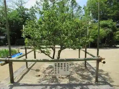 廣瀬大社のその他建物