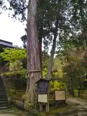 西明寺(滋賀県)