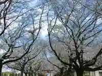 東蕗田天満社の自然