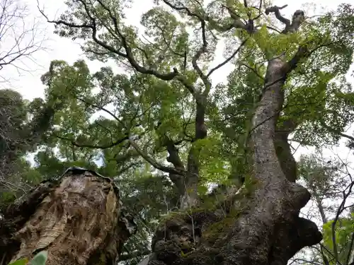 來宮神社の建物その他