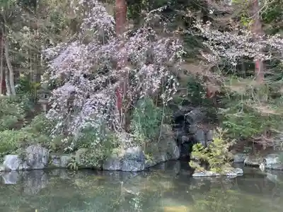 善峯寺(京都府)