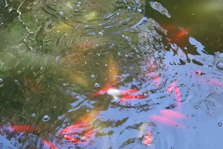 清水寺(千葉県)