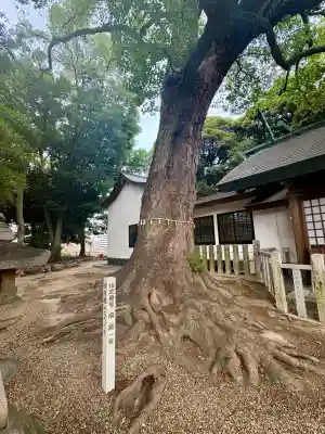 熊野三社(岩手県)