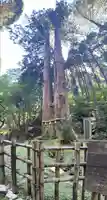 御岩神社の自然