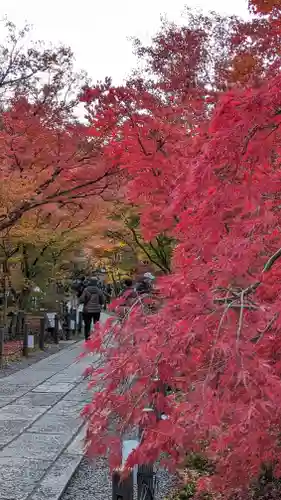 禅林寺（永観堂）(京都府)