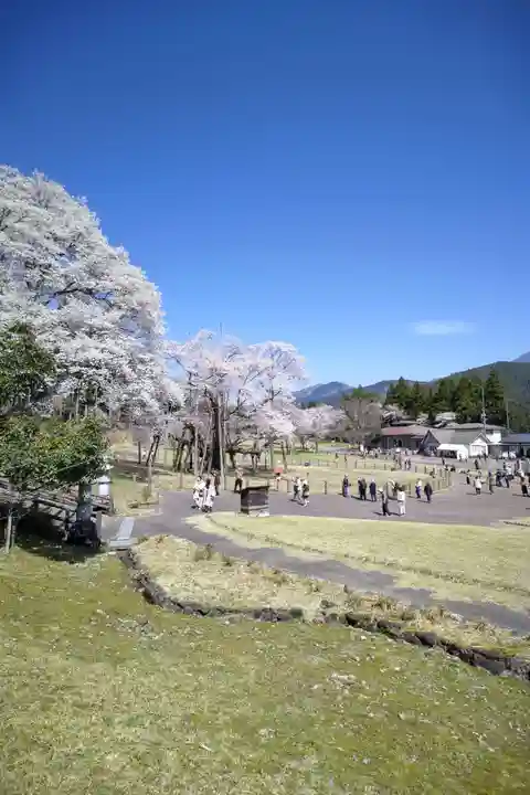 淡墨観音(岐阜県)